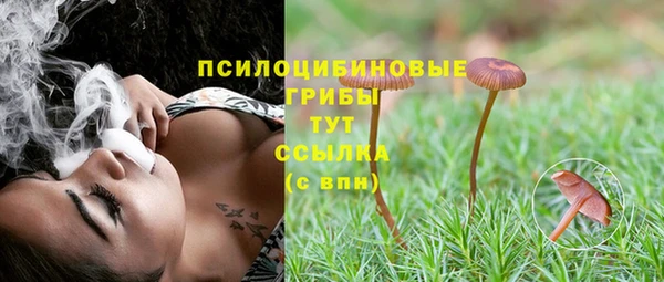 амф Алзамай